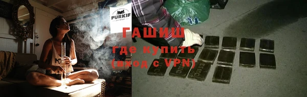 хмурый Алзамай