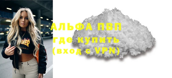 стафф Осинники