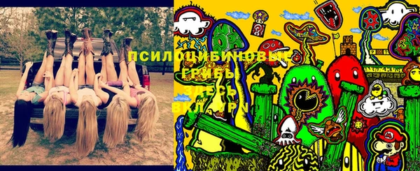 хмурый Алзамай