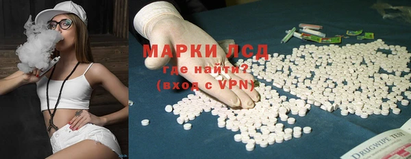 хмурый Алзамай
