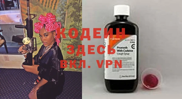 хмурый Алзамай
