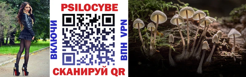Псилоцибиновые грибы Magic Shrooms  Ермолино 